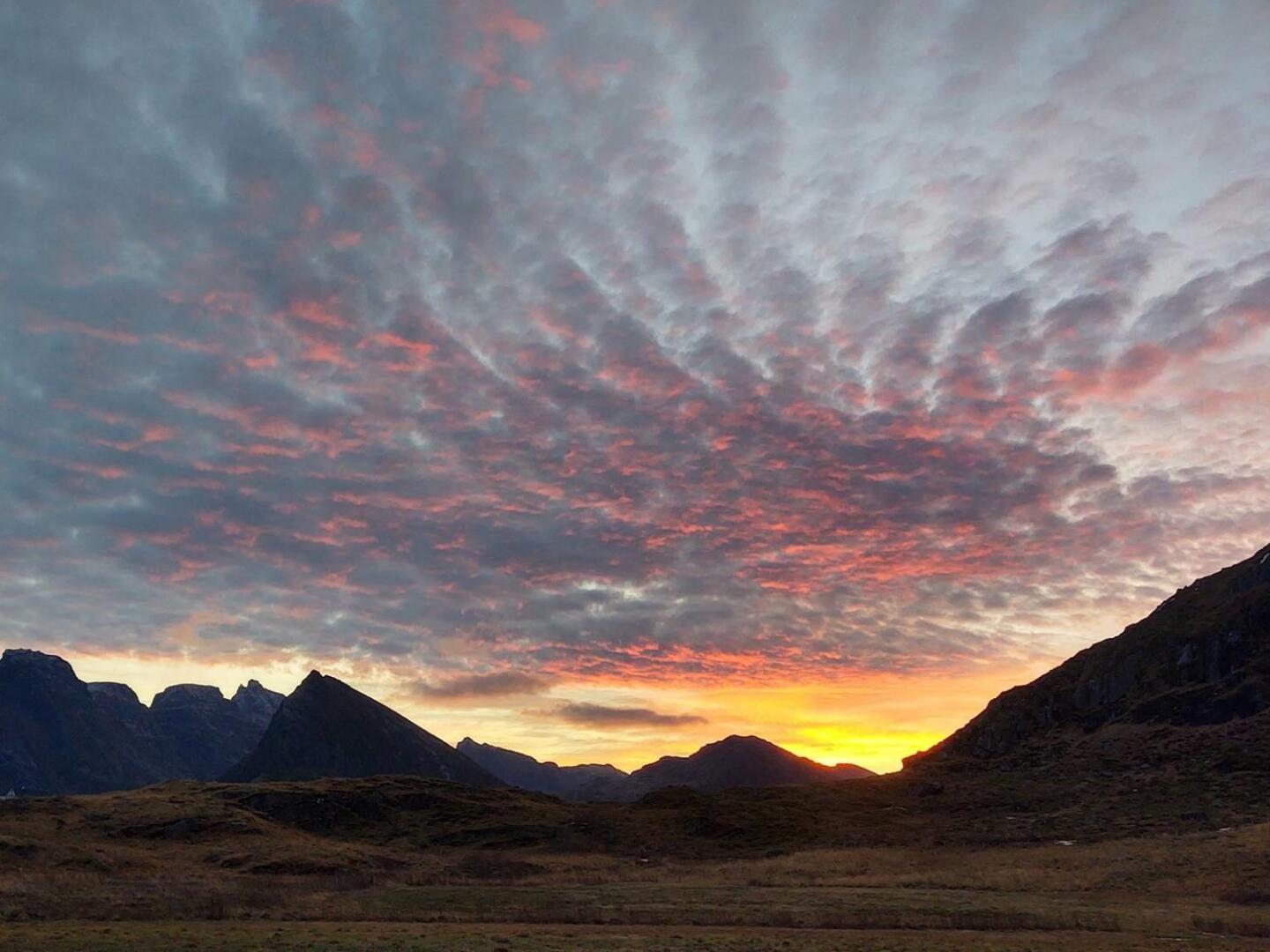 Fredvang Farm House - Lofoten Luaran gambar