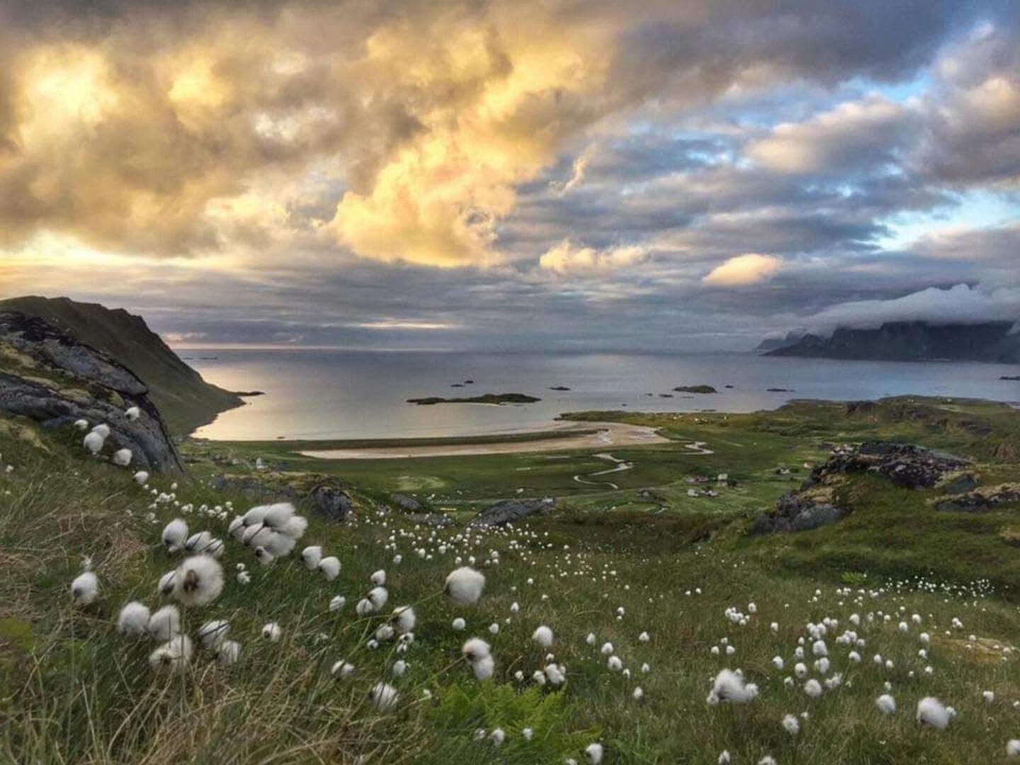 Fredvang Farm House - Lofoten Luaran gambar